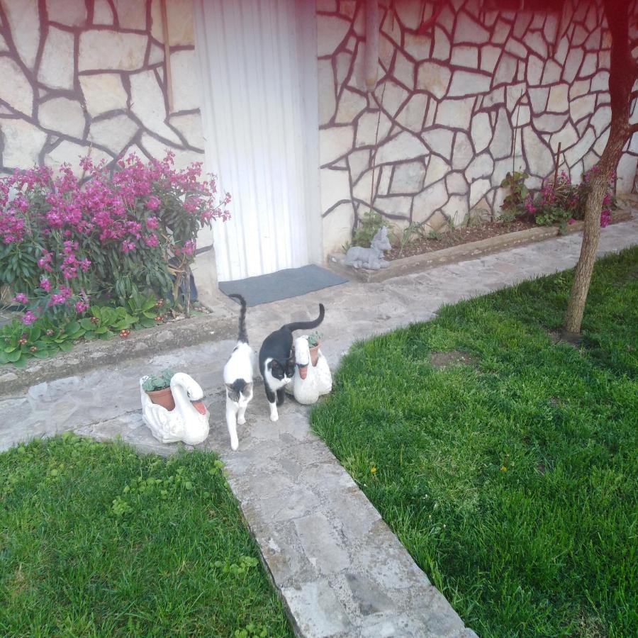Janina Hisa Apartment Stolac Luaran gambar